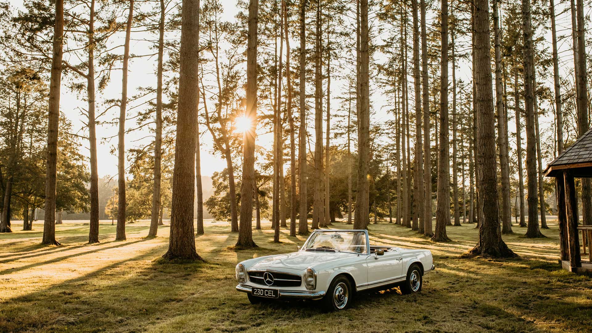 Vintage car - Somerley Woodland Weddings