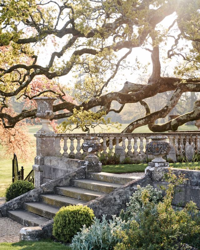 A serene scene at Somerley House 😌🤍🌿captured by @david_wheeler_photography